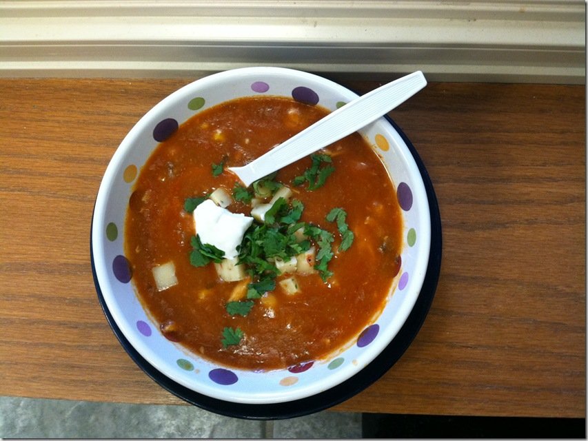 10 Minute Enchilada Soup