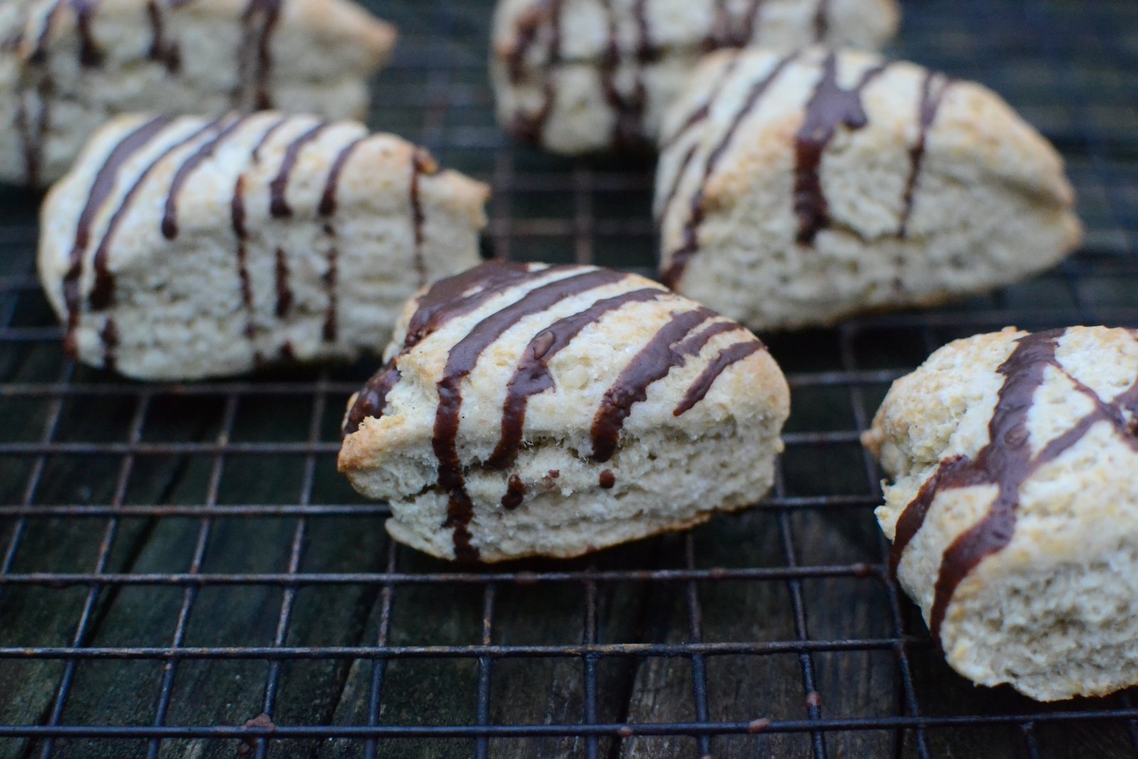 Mini Orange Walnut Scones