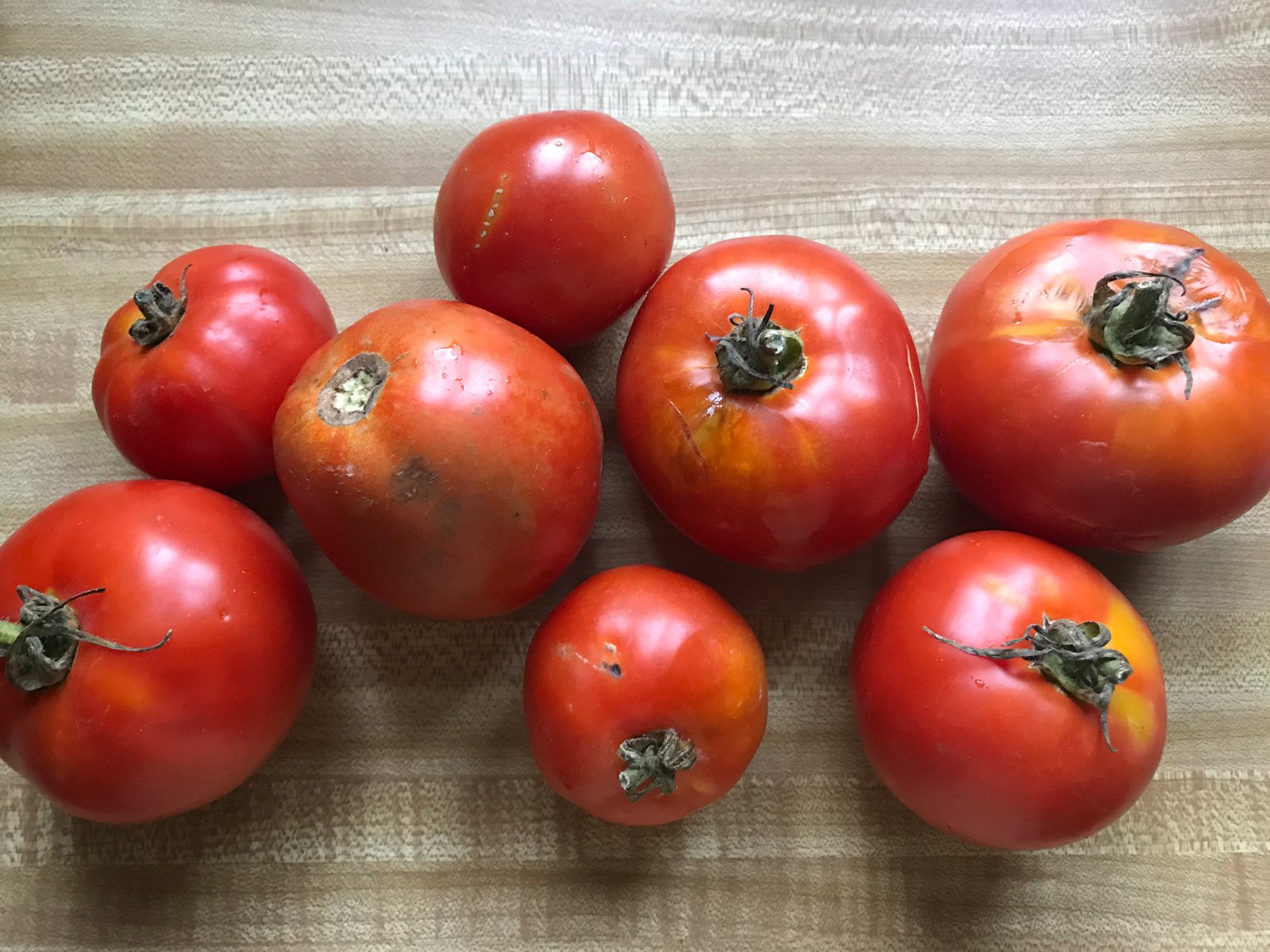 Garden Tomato Pasta Sauce