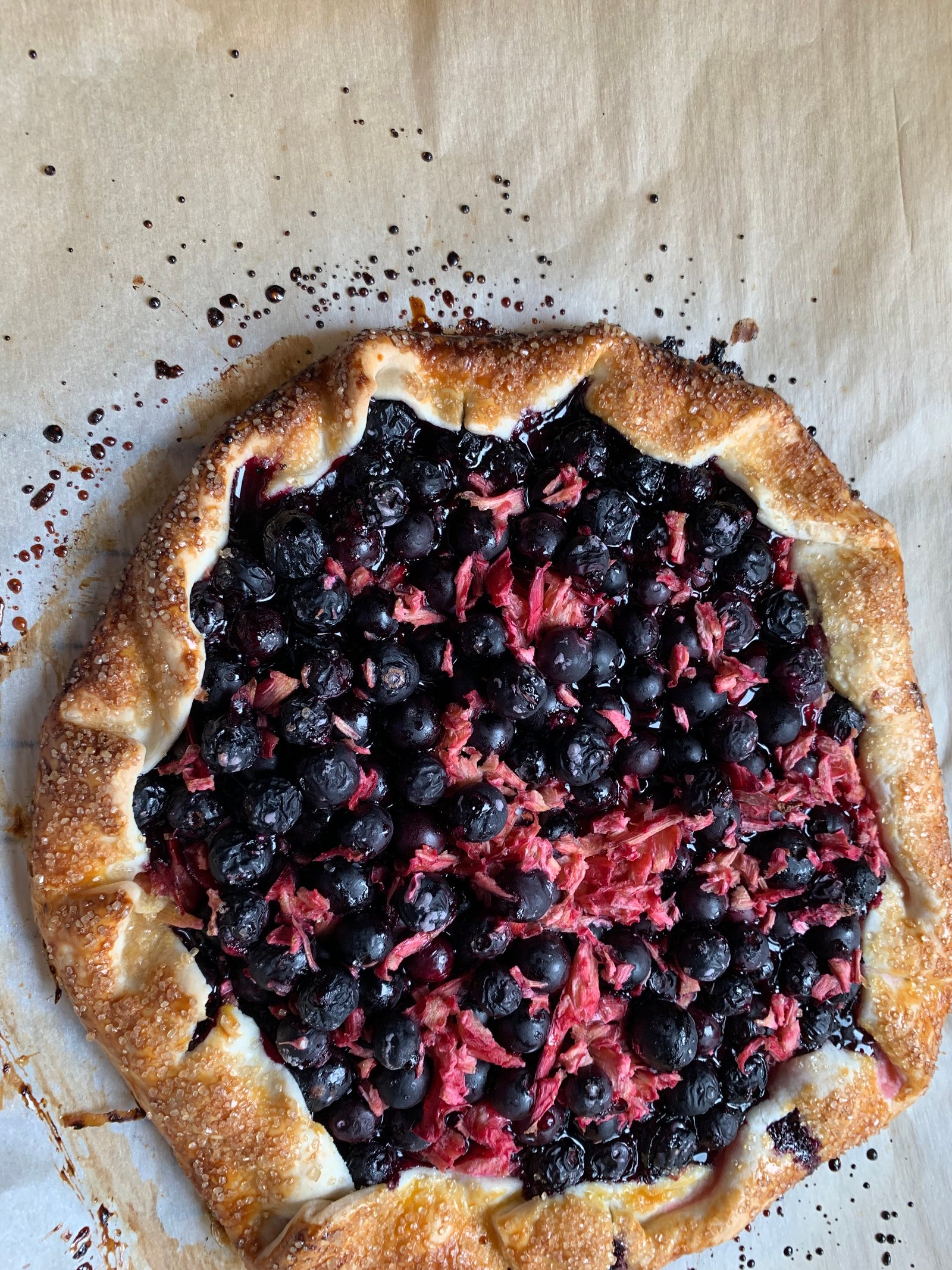 Blueberry Rhubarb Galette