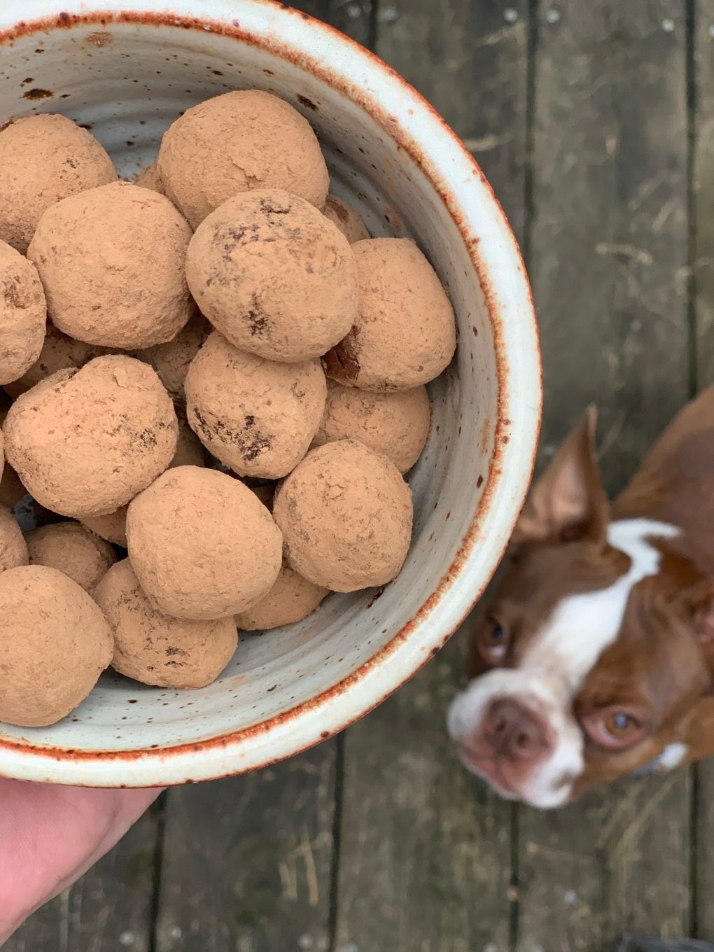 easy spicy avocado chocolate truffles