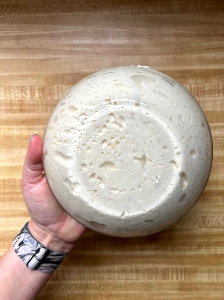 this is sourdough in a bowl