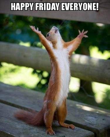 Happy Friday!
