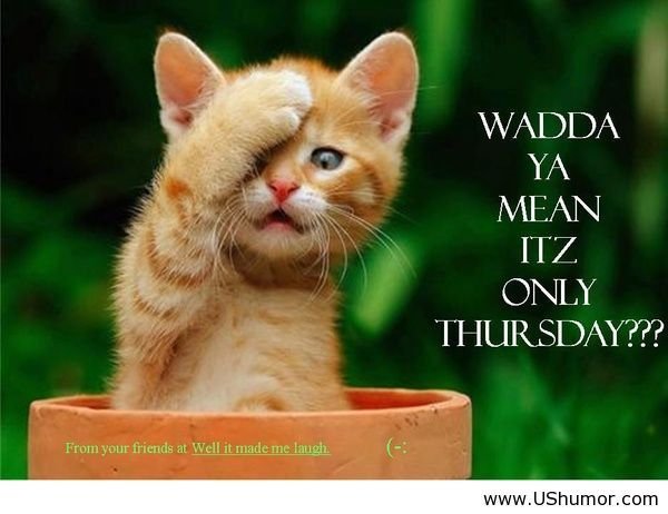 Happy Thursday!