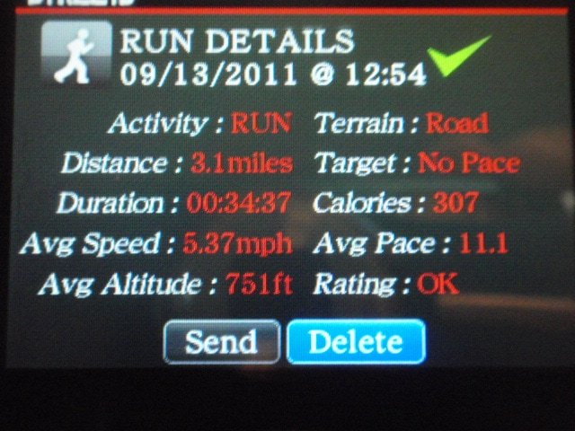 I ran for Skippy